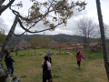 image00047