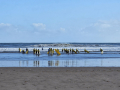 image00011