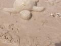image00002