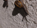 image00005