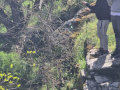 image00015