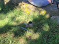 image00019