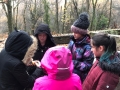 IMG-20191213-WA0013