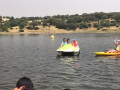 IMG-20220615-WA0131