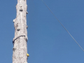 image00037