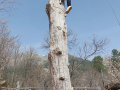 image00039