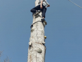 image00045