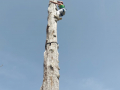 image00046