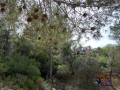 image00032