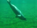 IMG-20190619-WA0071