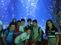 IMG-20190619-WA0078