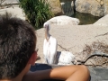 IMG-20190619-WA0091