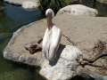 IMG-20190619-WA0098