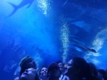 IMG-20190619-WA0125