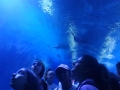 IMG-20190619-WA0126