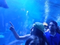 IMG-20190619-WA0128