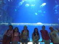 IMG-20190619-WA0130
