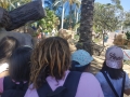 IMG-20190619-WA0131