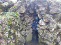 IMG-20220321-WA0025