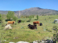 IMG-20220505-WA0188