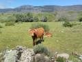 IMG-20220505-WA0190