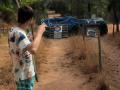 IMG-20220613-WA0117