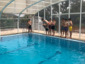 IMG-20220615-WA0002