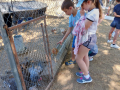 IMG-20220628-WA0015