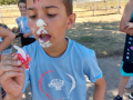 IMG-20220628-WA0067