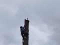 IMG-20230307-WA0115