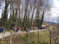 IMG-20230308-WA0206