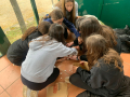 IMG-20230308-WA0130
