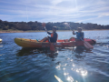 IMG-20230322-WA0062