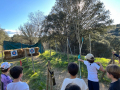 IMG-20230321-WA0184