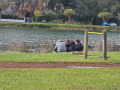 IMG-20230322-WA0143