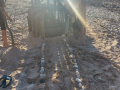 IMG-20230321-WA0131