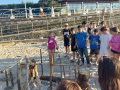 IMG-20230321-WA0133