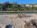 IMG-20230321-WA0145
