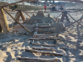 IMG-20230321-WA0150