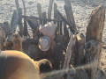IMG-20230321-WA0209