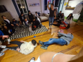 IMG-20230321-WA0263