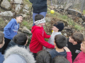 IMG-20230309-WA0109