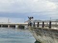 IMG-20230323-WA0137