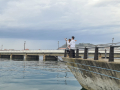 IMG-20230323-WA0138
