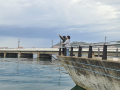IMG-20230323-WA0142