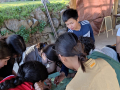 IMG-20230327-WA0141