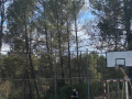 IMG-20230327-WA0173