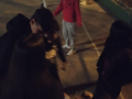 IMG-20230327-WA0252