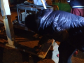 IMG-20230327-WA0255
