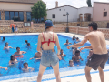 fb7dff2b-3e42-4fa9-b010-9022fa2080ab